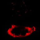 2022_12_05_040011.gif