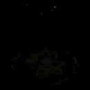 2022_12_05_040053.gif