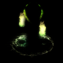 2022_12_05_040045.gif