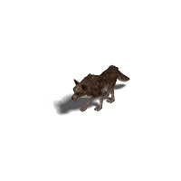 20_00000.jpg