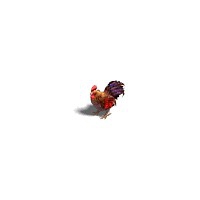168_00000.jpg