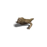 193_00000.jpg
