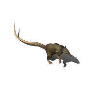 2022_12_20_144643.gif