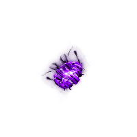 2022_12_28_061941.gif