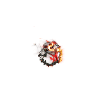 2022_12_28_063318.gif