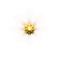 2022_12_28_142803.gif