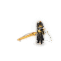 2023_11_06_233456.gif