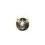 1 (9).png