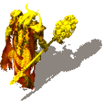 000091.png