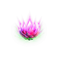 2_002.png