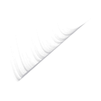 00010 (7).PNG