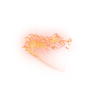 00010 (14).PNG